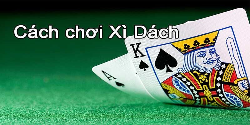 Hướng dẫn chơi xì dách được nhiều người tìm hiểu