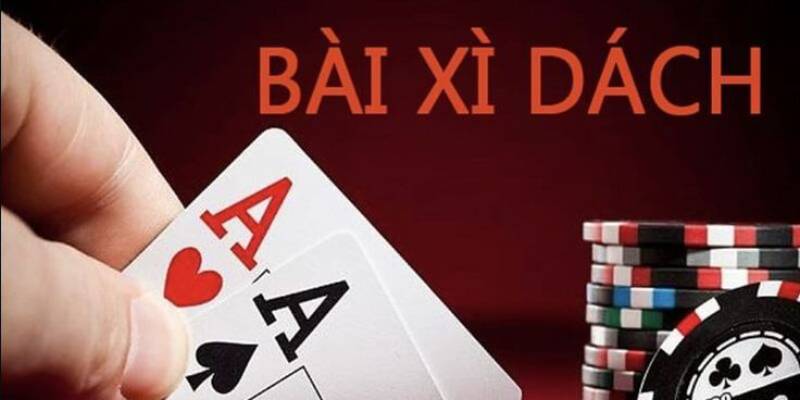 Hướng Dẫn Luật Chơi Xì Dách Dành Cho Người Chơi Mới 2024 luật chơi xì dách